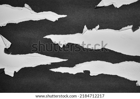 Black and White Torn Paper Collage Style, Ripped Paper Effect, Texture Abstract Background, Copy Space for Text.