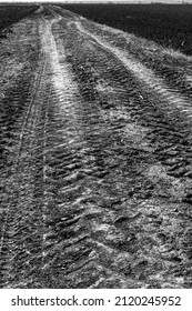 Black White tractor tracks on the road.