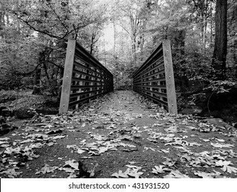 Black And White Trail Bridge In Northern Virginia Park 