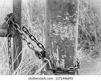 Black And White Version Of A Gate Chained Shut.