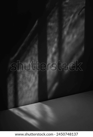 Black white vertical background. Empty dark room with window shadow. Wall floor. Architecture inside interior indoor. Night. Light. Displaying presentation. Product. Stage podium mock up 3D template. 