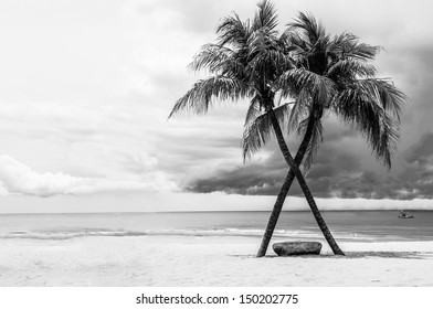 Black & White View Of Beautiful Beach With Palms, Thailand