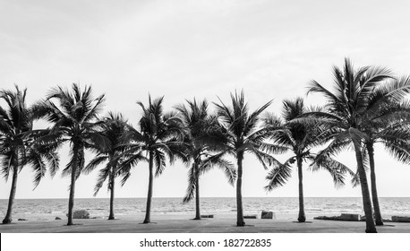 Black & White view of Beautiful beach with palms, Thailand