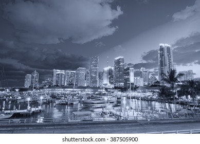 Black And White View Of Miami Night Skyline, Florida.