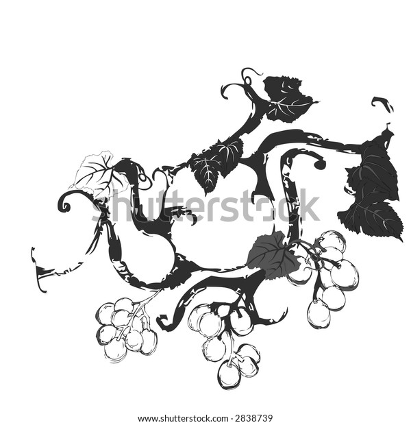 Black White Vine Stock Photo (Edit Now) 2838739