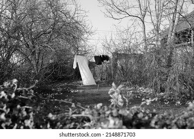 black and white of a washing line in a garden with wind slightly blowing the clothes. in the foreground is the top of a hedge. there are trees and shrubs around the edge of the garden without leaves.