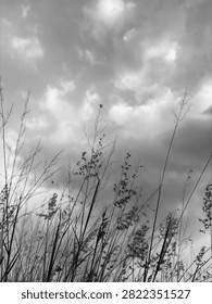 Black and White Wild Grass with Dramatic Clouds and Copy Space. Black and white vertical photograph of wild grass beneath dramatic clouds. Features generous copy space, making it ideal for inspirational quotes, posters, editorial layouts, and nature-themed designs.