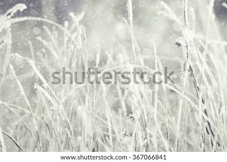 Similar – Foto Bild Schnee und Eis Landschaft