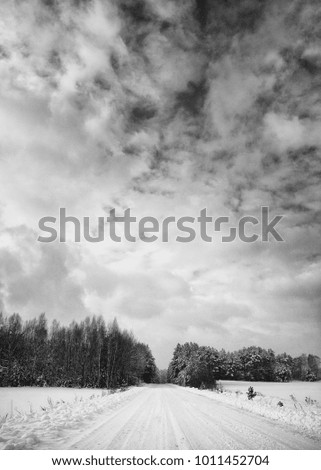 Similar – Image, Stock Photo Trees vs. storm 1 : 0