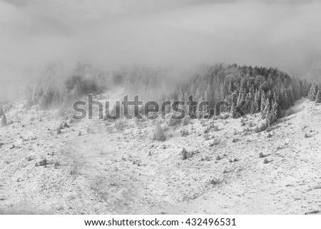 Black and white. Winter on Carpathian mountains.rural landscape.