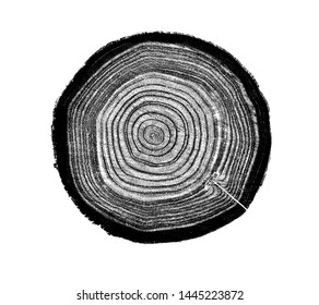 Black White Wood Texture Tree Rings Stock Photo 1445223872 | Shutterstock