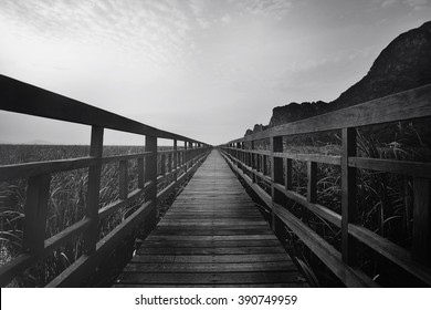 Black And White Wooden Bridge