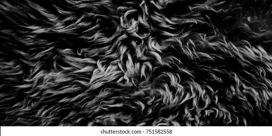 Black White Wool Texture Background, Cotton Wool, Grey  Fleece, Gray Natural Sheep Wool, Texture Of Dark Fluffy Fur, Black  White Nappy Long Wool Coat, Dark Carpet, Close-up Macro, Abstract, Skin,