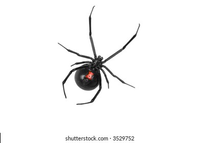 Black Widow