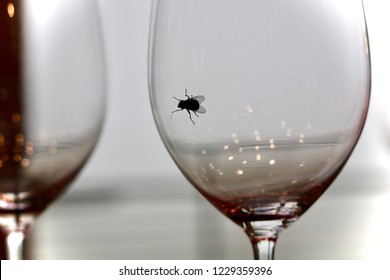 A Black In A Wine Glass. 