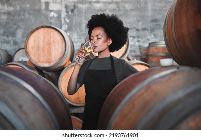 Black Winemaker Smelling White Wine In Vineyard Cellar, Expert Analysis By Professional, Proud Female Sommelier. Small Business Owner Checking The Smell, Color And Blend Of Alcohol, Enjoying Career