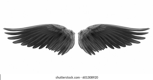 Black Wings Of Bird On White Background