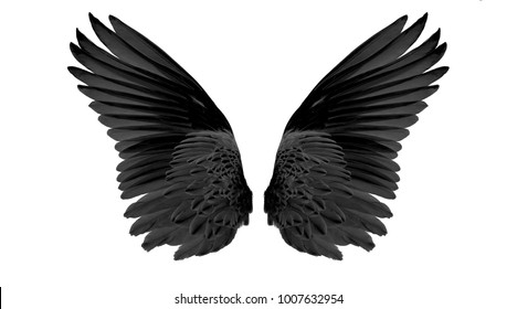 Black Wings On White Background