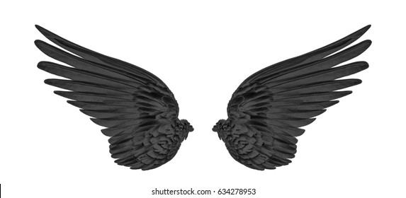 Black Wings On White Background