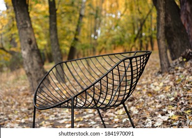 Black Wireframe Chair In Public Park. Metal Garden Chair. Autumn Background.