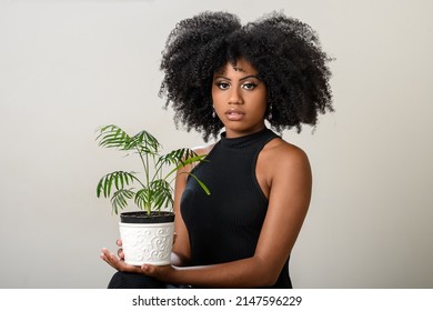 Black Woman Holding A Vase With A Small Plant, Palm Tree, Isolated On Gray Background