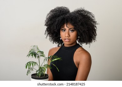 Black Woman Holding A Vase With A Small Plant, Palm Tree, Isolated On Gray Background