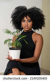 Black Woman Holding A Vase With A Small Plant, Palm Tree, Isolated On Gray And Beige Background