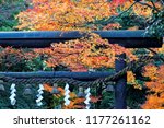 A black wood Torii Gate surrounded by fiery maple foliage in autumn and a Shimenawa straw rope festooned with white Shide paper at the entrance to Nonomiya Jinja Shrine in Arashiyama, Kyoto, Japan