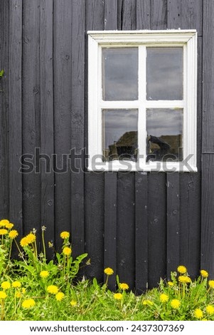 Black wooden facade of residential building with white window frame and yellow flowers below, traditional Icelandic turf house in Skogar Open Air Museum, Iceland.