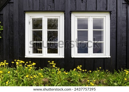 Black wooden facade of residential building with white windows frames and yellow flowers below, traditional Icelandic turf house in Skogar Open Air Museum, Iceland.