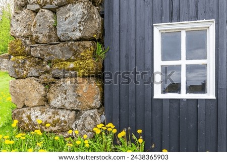 Black wooden facade of residential building with white windows frames, stone wall and yellow flowers below, traditional Icelandic turf house in Skogar Open Air Museum, Iceland.