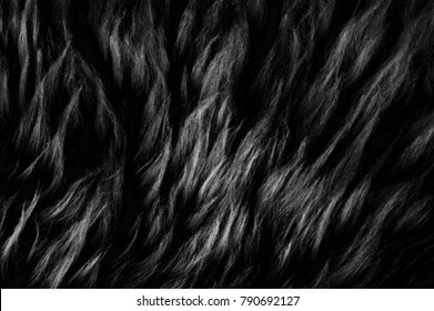 Black Wool Texture Background, Dark Natural Sheep Wool, Texture Of Gray Fluffy Fur, Close-up Of A Long  Grey Wool Carpet