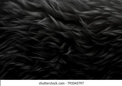 Black Wool Texture Background, Dark Natural Sheep Wool, Texture Of Gray Fluffy Fur, Close-up Of A Long  Grey Wool Carpet