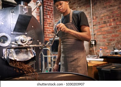 Black Worker Busy Pulling The Lever That Pours The Coffee Beans From The Roaster Over To A Drying Tray Where They Will Cool Down Before Being Packaged And Shipped Off.