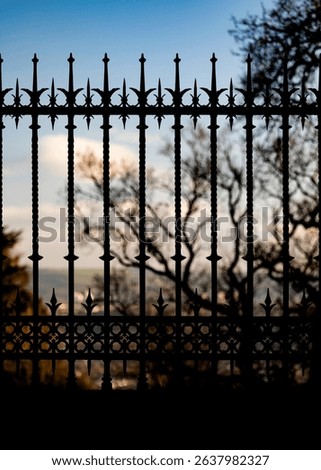 A black wrought iron fence is seen in silhouette against a blue sky and blurred trees. The fence is ornate, with twisted metal bars and decorative finials.

