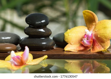 29 Massage Pics Therapy Images, Stock Photos & Vectors | Shutterstock