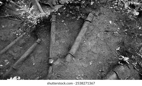 A black-and-white close-up of a forest trail reinforced with wooden steps, surrounded by soil and scattered leaves, showcasing rustic textures - Powered by Shutterstock