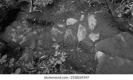 A black-and-white image of a rugged forest path with uneven stone steps, surrounded by soil and dense vegetation in a natural, untouched setting - Powered by Shutterstock