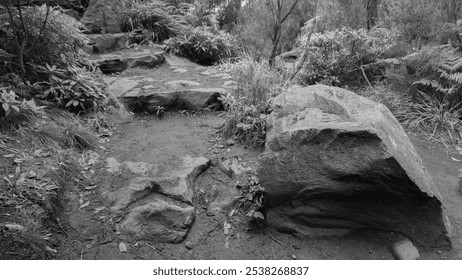 A black-and-white image of a rugged forest trail with stone steps and large rocks, surrounded by dense vegetation in a natural, serene setting - Powered by Shutterstock