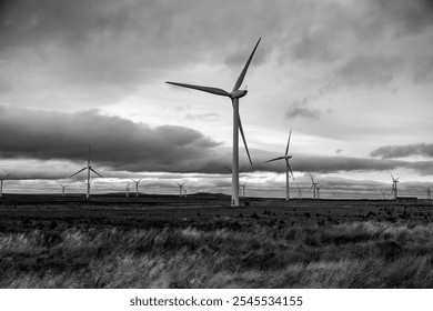 A black-and-white photo of wind turbines on a flat, open Scottish landscape, under an overcast sky. - Powered by Shutterstock