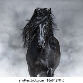 Black-and-White portrait of black Andalusian Horse in light smoke. - Shutterstock ID 1868427940
