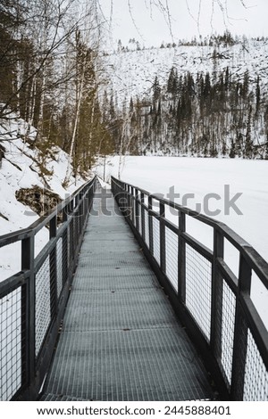 A blackandwhite snowy landscape with a freezing lake, trees and a wooden fence parallel to a bridge, creating an atmospheric winter phenomenon in the woods