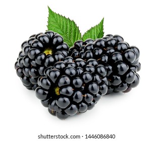 Blackberries Isolated On White Background