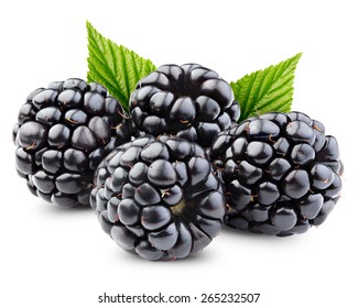 Blackberries with leaves isolated on white background 