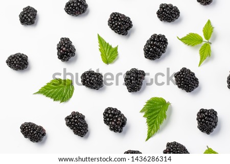 Blackberries and leaves top view on white background