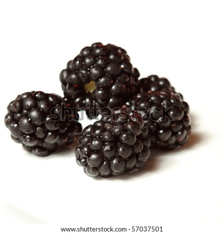 Similar – Brombeeren Lebensmittel