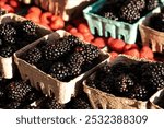 Blackberries and red raspberries and cartons on table top at farmers market