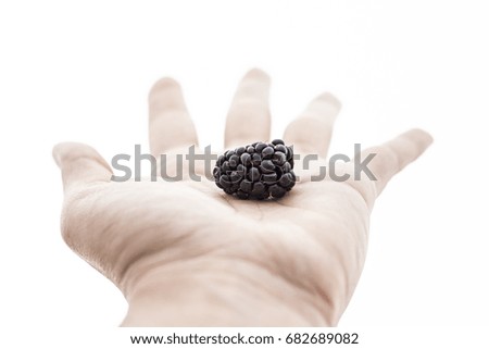 Similar – Ripe blackberries in hand