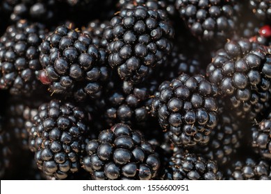 blackberry close-up. Juicy black berries of a blackberry. selective focus Black raspberries. Top view, Flat lay 