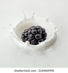 Blackberry Falls Into Milk, Yoghurt, Sour Cream, Splash